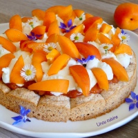 Tarte aux abricots sur dacquoise et chantilly mascarpone à la fleur d’oranger